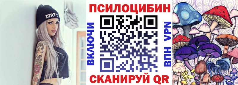 Купить  Магас  Псилоцибиновые грибы мицелий 